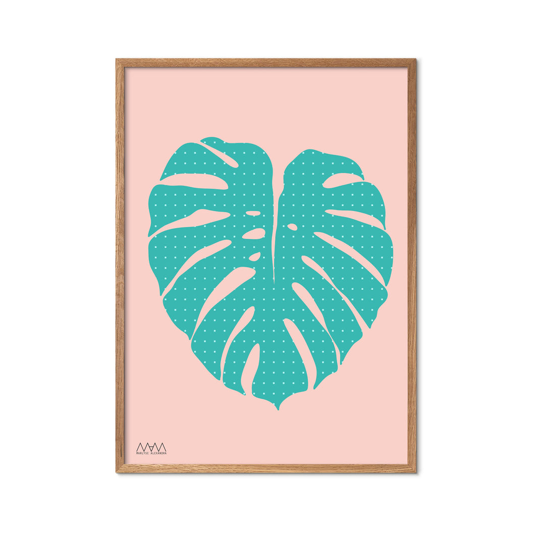 MONSTERA TEAL